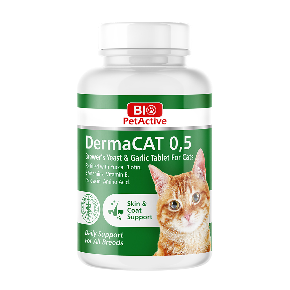 dermacat-05-1.jpg