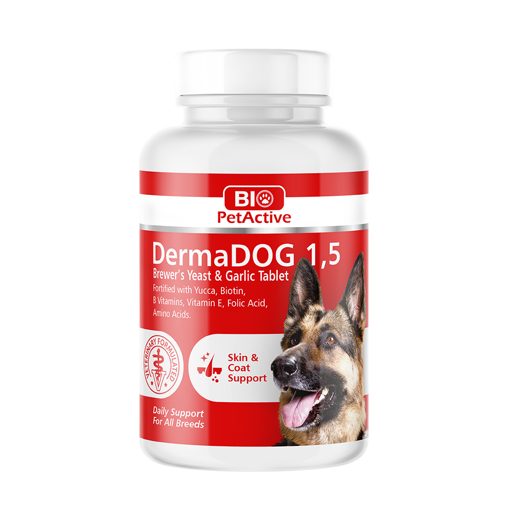 dermadog-2.jpg