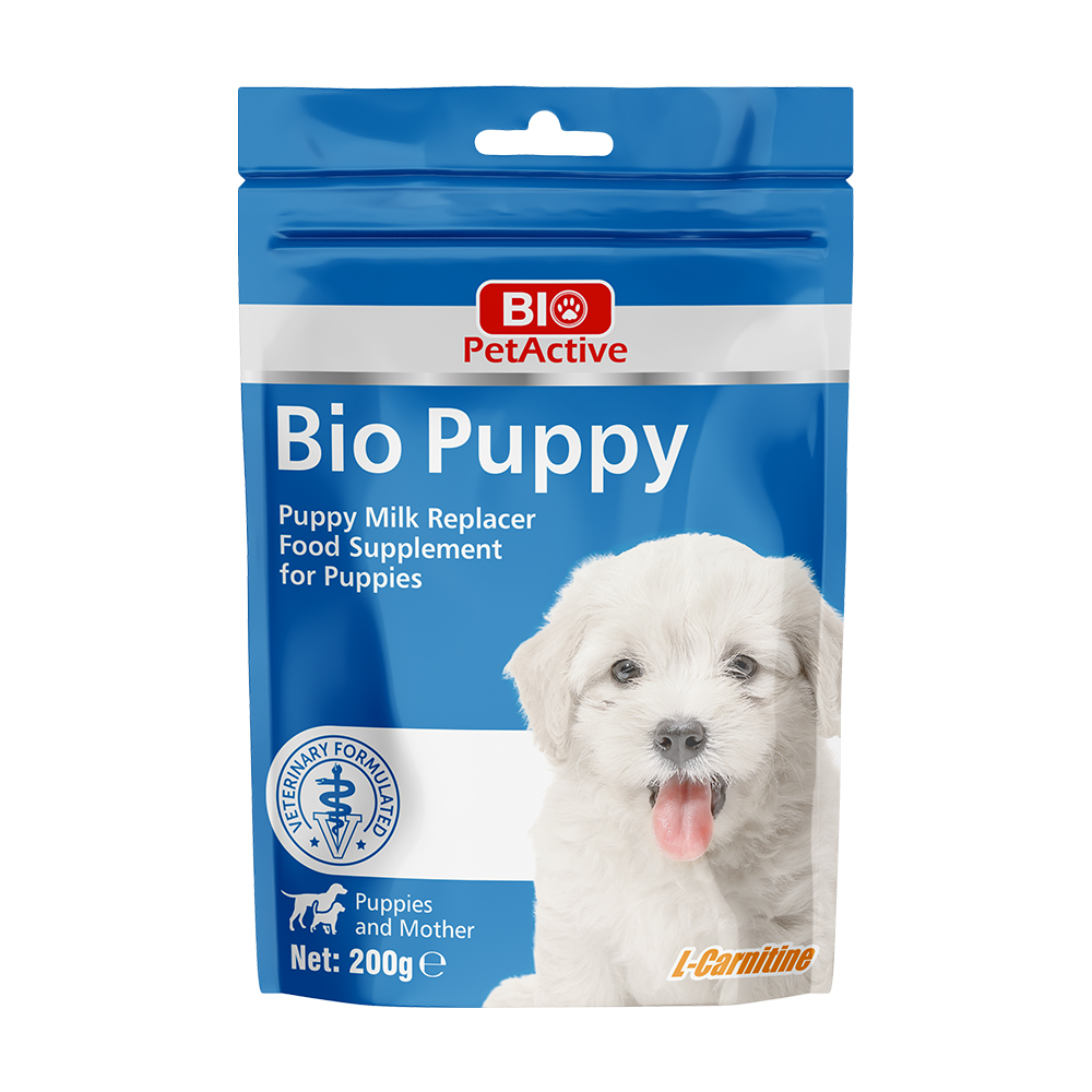 puppy.jpg